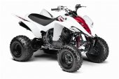 2010 Yamaha Raptor 350 photo